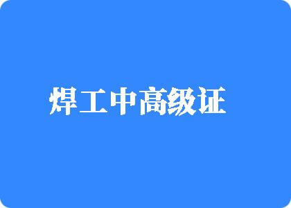 使劲操我逼舔我逼日我逼视频焊工中高级证